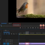 프리미어프로-제거-추출-방법